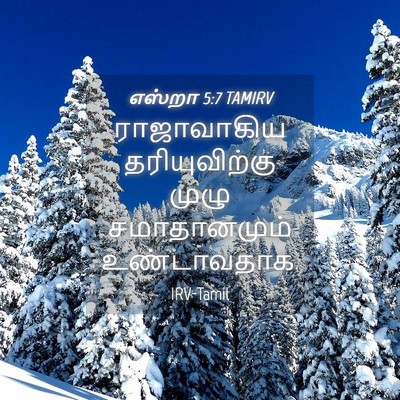 Picture 04 - எஸ்றா 5:7 TAMIRV - ராஜாவாகிய - Bible Verse Picture
