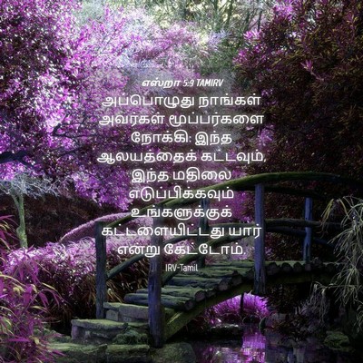 Picture 04 - எஸ்றா 5:9 TAMIRV - அப்பொழுது நாங்கள் - Bible Verse Picture