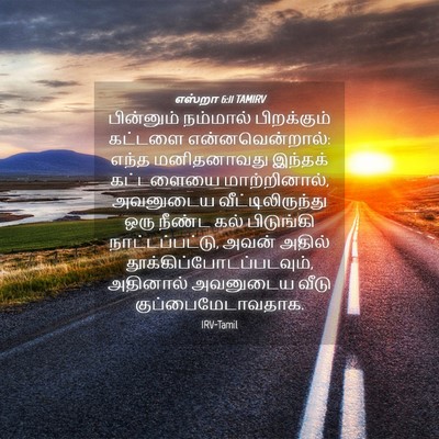 Picture 04 - எஸ்றா 6:11 TAMIRV - பின்னும் நம்மால் - Bible Verse Picture