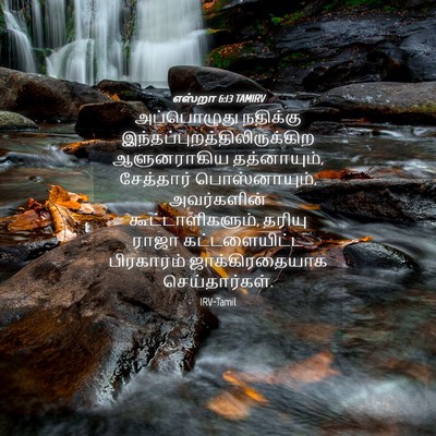 Picture 04 - எஸ்றா 6:13 TAMIRV - அப்பொழுது நதிக்கு - Bible Verse Picture