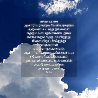 Picture 04 - எஸ்றா 6:20 TAMIRV - ஆசாரியர்களும் - Bible Verse Picture