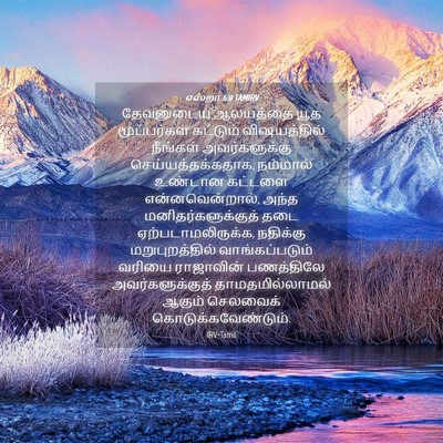 Picture 04 - எஸ்றா 6:8 TAMIRV - தேவனுடைய ஆலயத்தை - Bible Verse Picture