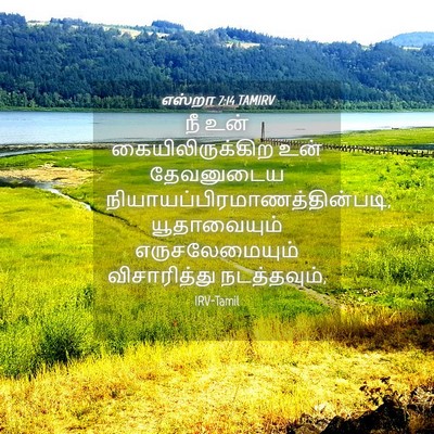 Picture 04 - எஸ்றா 7:14 TAMIRV - நீ உன் - Bible Verse Picture