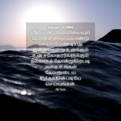 Picture 04 - எஸ்றா 7:18 TAMIRV - மீதியான - Bible Verse Picture