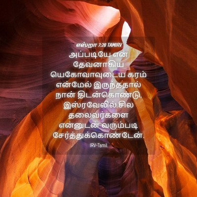 Picture 04 - எஸ்றா 7:28 TAMIRV - அப்படியே என் - Bible Verse Picture