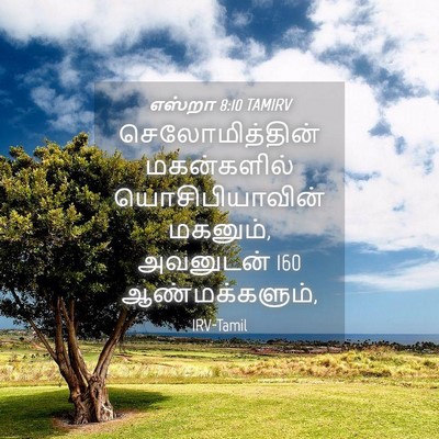 Picture 04 - எஸ்றா 8:10 TAMIRV - செலோமித்தின் - Bible Verse Picture