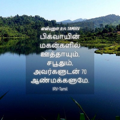 Picture 04 - எஸ்றா 8:14 TAMIRV - பிக்வாயின் - Bible Verse Picture