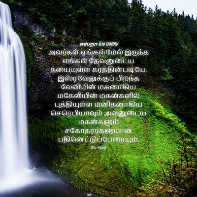 Picture 04 - எஸ்றா 8:18 TAMIRV - அவர்கள் - Bible Verse Picture