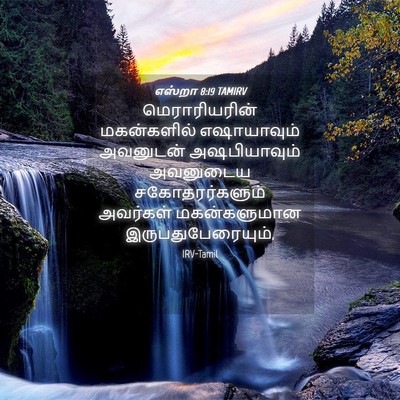 Picture 04 - எஸ்றா 8:19 TAMIRV - மெராரியரின் - Bible Verse Picture