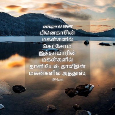 Picture 04 - எஸ்றா 8:2 TAMIRV - பினெகாசின் - Bible Verse Picture