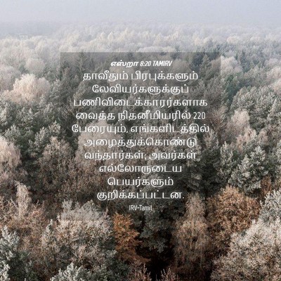 Picture 04 - எஸ்றா 8:20 TAMIRV - தாவீதும் - Bible Verse Picture