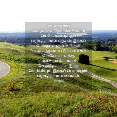 Picture 04 - எஸ்றா 8:28 TAMIRV - அவர்களை நோக்கி: - Bible Verse Picture