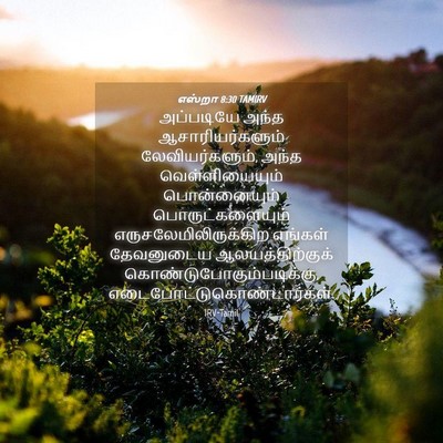 Picture 04 - எஸ்றா 8:30 TAMIRV - அப்படியே அந்த - Bible Verse Picture