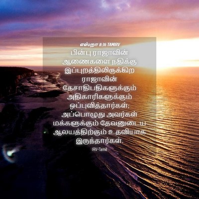 Picture 04 - எஸ்றா 8:36 TAMIRV - பின்பு ராஜாவின் - Bible Verse Picture