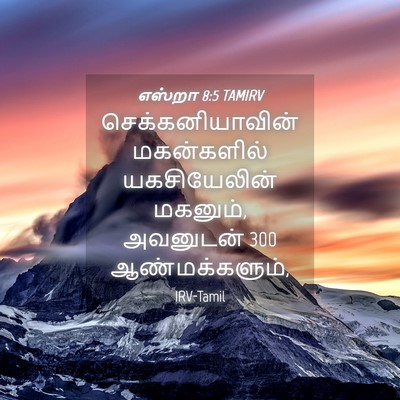 Picture 04 - எஸ்றா 8:5 TAMIRV - செக்கனியாவின் - Bible Verse Picture
