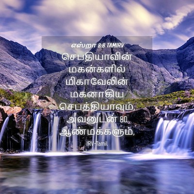 Picture 04 - எஸ்றா 8:8 TAMIRV - செபதியாவின் - Bible Verse Picture