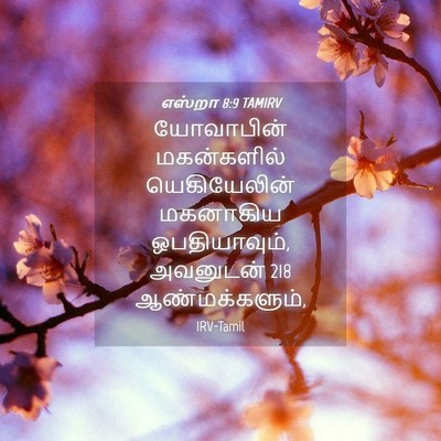 Picture 04 - எஸ்றா 8:9 TAMIRV - யோவாபின் - Bible Verse Picture