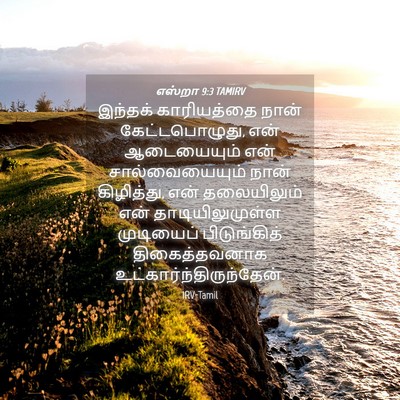 Picture 04 - எஸ்றா 9:3 TAMIRV - இந்தக் காரியத்தை - Bible Verse Picture