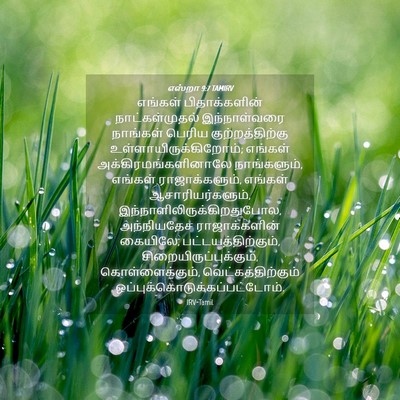 Picture 04 - எஸ்றா 9:7 TAMIRV - எங்கள் - Bible Verse Picture