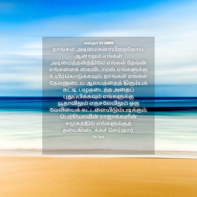 Picture 04 - எஸ்றா 9:9 TAMIRV - நாங்கள் - Bible Verse Picture