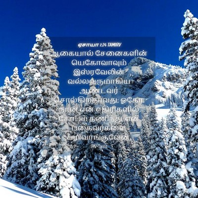 Picture 04 - ஏசாயா 1:24 TAMIRV - ஆகையால் சேனைகளின் - Bible Verse Picture