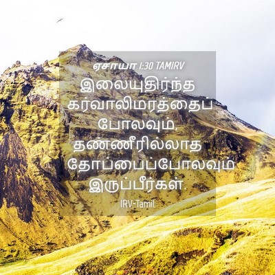 Picture 04 - ஏசாயா 1:30 TAMIRV - இலையுதிர்ந்த - Bible Verse Picture