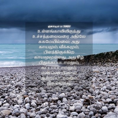 Picture 04 - ஏசாயா 1:6 TAMIRV -  - Bible Verse Picture