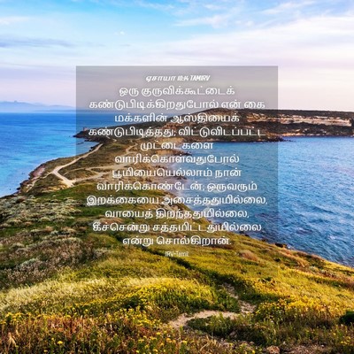 Picture 04 - ஏசாயா 10:14 TAMIRV - ஒரு - Bible Verse Picture