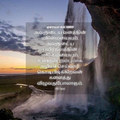 Picture 04 - ஏசாயா 10:18 TAMIRV - அவனுடைய வனத்தின் - Bible Verse Picture