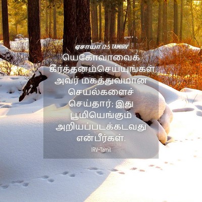 Picture 04 - ஏசாயா 12:5 TAMIRV - யெகோவாவைக் - Bible Verse Picture