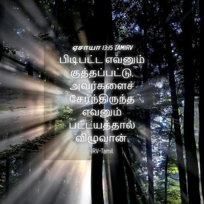 Picture 04 - ஏசாயா 13:15 TAMIRV - பிடிபட்ட எவனும் - Bible Verse Picture