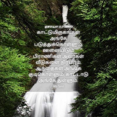 Picture 04 - ஏசாயா 13:21 TAMIRV - காட்டுமிருகங்கள் - Bible Verse Picture