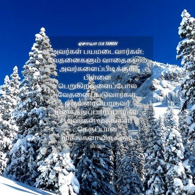 Picture 04 - ஏசாயா 13:8 TAMIRV - அவர்கள் - Bible Verse Picture
