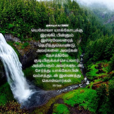 Picture 04 - ஏசாயா 14:1 TAMIRV - யெகோவா - Bible Verse Picture