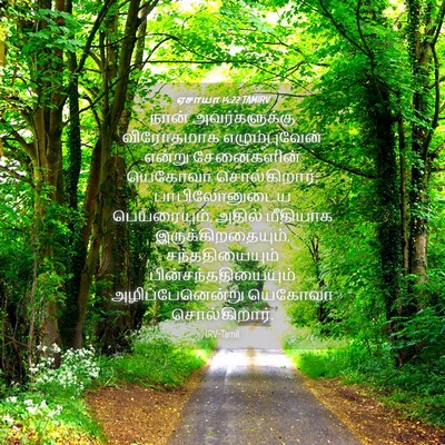 Picture 04 - ஏசாயா 14:22 TAMIRV - நான் அவர்களுக்கு - Bible Verse Picture