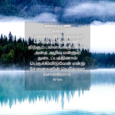 Picture 04 - ஏசாயா 14:23 TAMIRV - அதை - Bible Verse Picture
