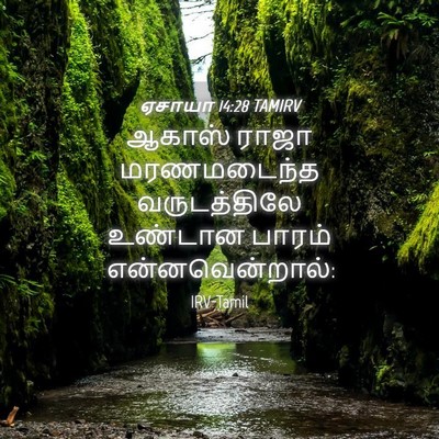 Picture 04 - ஏசாயா 14:28 TAMIRV - ஆகாஸ் ராஜா - Bible Verse Picture
