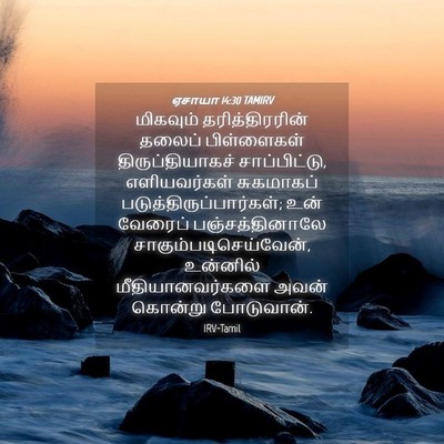 Picture 04 - ஏசாயா 14:30 TAMIRV - மிகவும் - Bible Verse Picture