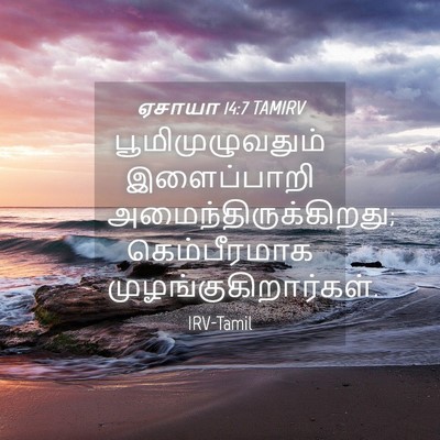 Picture 04 - ஏசாயா 14:7 TAMIRV - பூமிமுழுவதும் - Bible Verse Picture