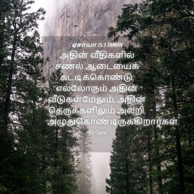 Picture 04 - ஏசாயா 15:3 TAMIRV - அதின் வீதிகளில் - Bible Verse Picture