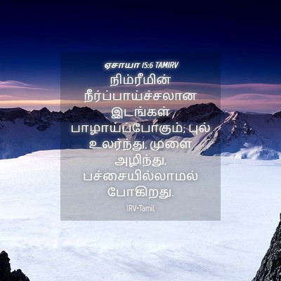 Picture 04 - ஏசாயா 15:6 TAMIRV - நிம்ரீமின் - Bible Verse Picture