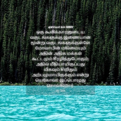 Picture 04 - ஏசாயா 16:14 TAMIRV - ஒரு - Bible Verse Picture