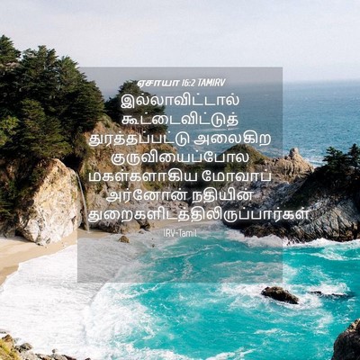 Picture 04 - ஏசாயா 16:2 TAMIRV - இல்லாவிட்டால் - Bible Verse Picture
