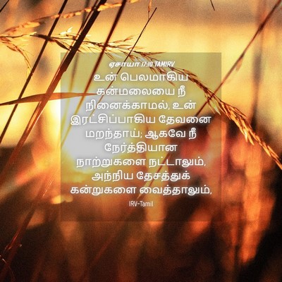 Picture 04 - ஏசாயா 17:10 TAMIRV - உன் பெலமாகிய - Bible Verse Picture