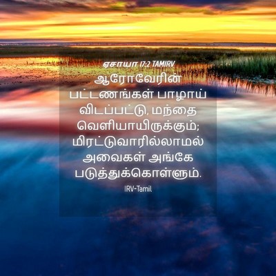 Picture 04 - ஏசாயா 17:2 TAMIRV - ஆரோவேரின் - Bible Verse Picture
