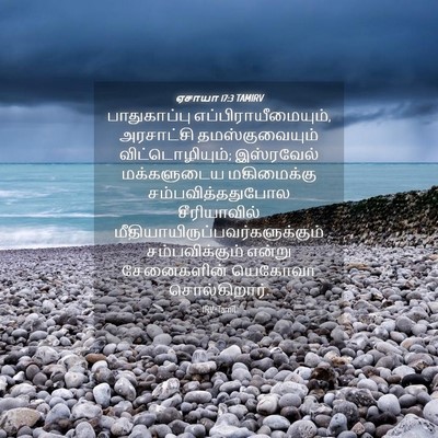 Picture 04 - ஏசாயா 17:3 TAMIRV - பாதுகாப்பு - Bible Verse Picture