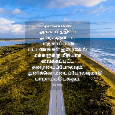 Picture 04 - ஏசாயா 17:9 TAMIRV - அக்காலத்திலே - Bible Verse Picture