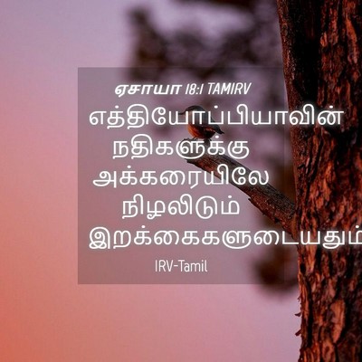 Picture 04 - ஏசாயா 18:1 TAMIRV -  - Bible Verse Picture