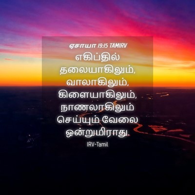 Picture 04 - ஏசாயா 19:15 TAMIRV - எகிப்தில் - Bible Verse Picture