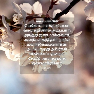 Picture 04 - ஏசாயா 19:22 TAMIRV - யெகோவா எகிப்தியரை - Bible Verse Picture